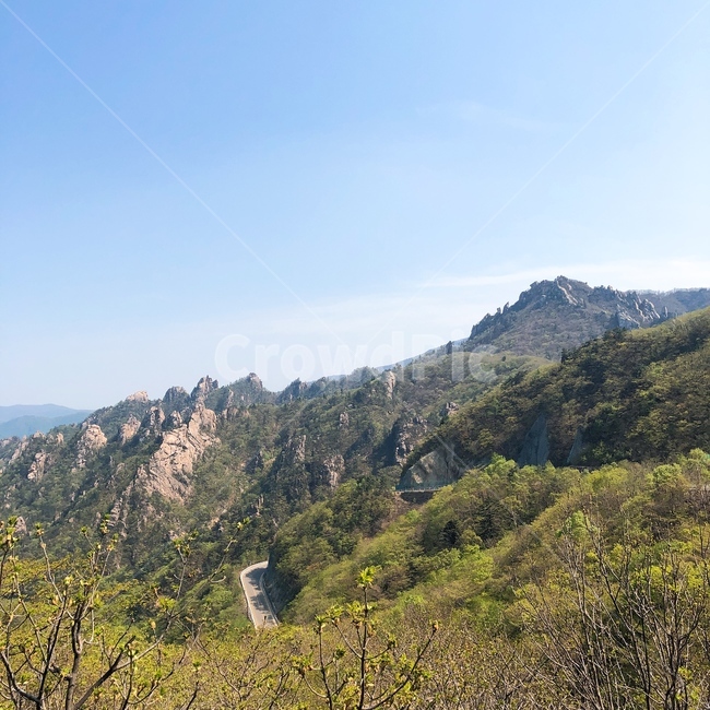 자연,풍경,산,나무,봄,여름,nature,자연풍경,sky