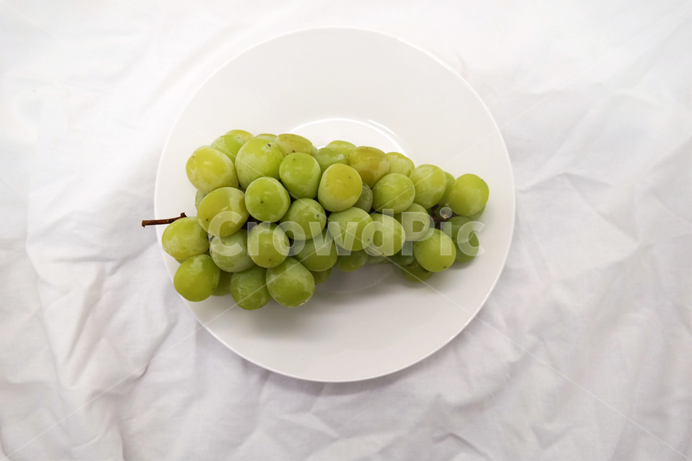 grapes,포도,grape,fruit,과일,머스켓,청포토,muscat,접시,과일,열매,fruit