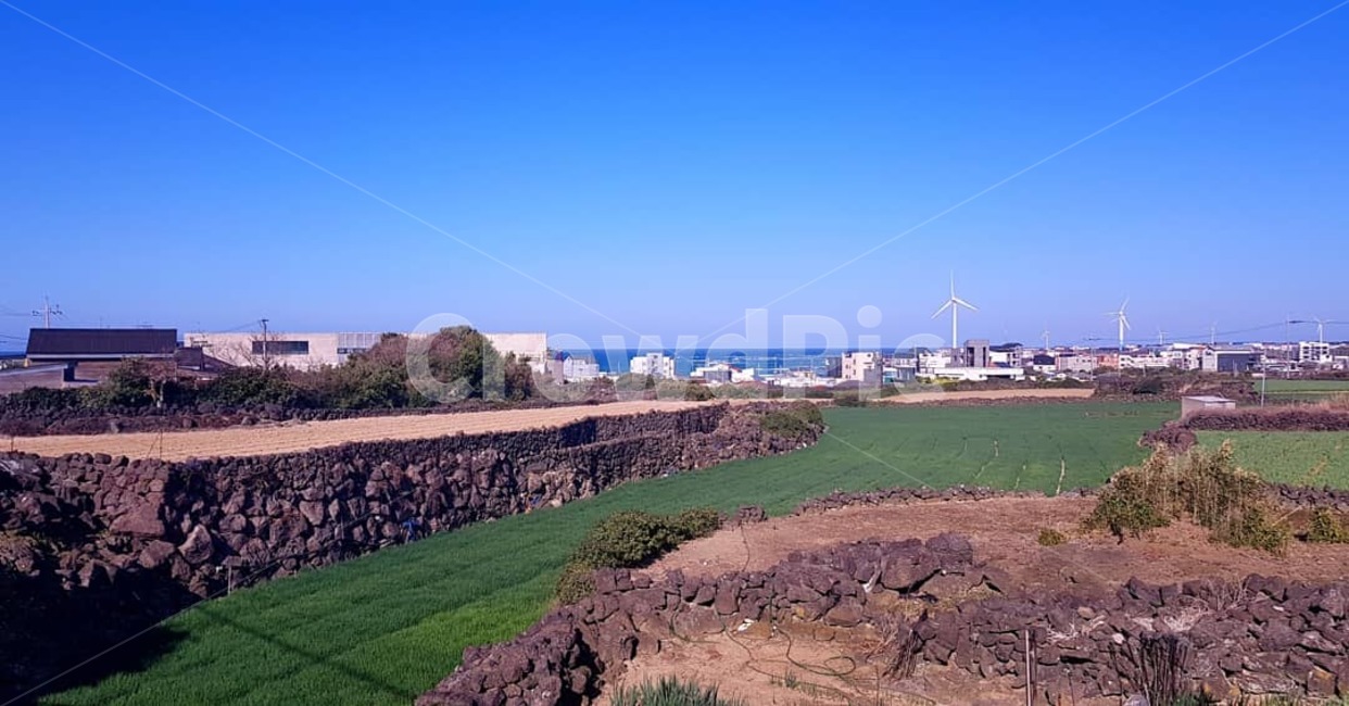 제주도,월정리,해변,여름,마을,ocean,jejuisland,woljeongr,자연,풍경,nature,landscape