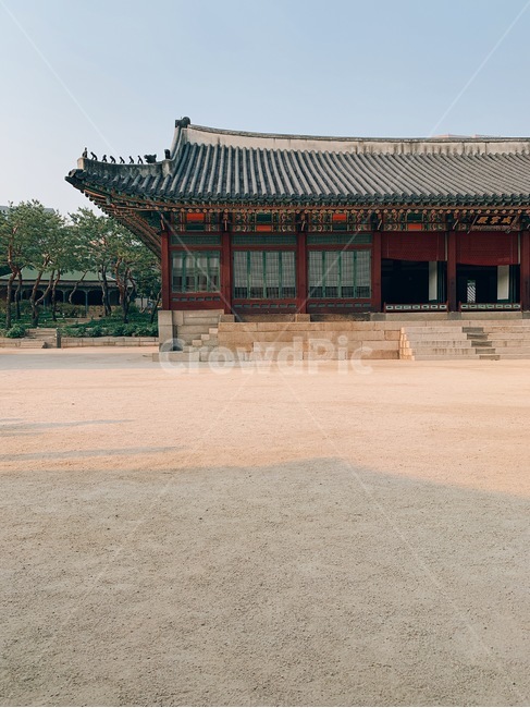 한적함,덕수궁,궁,궁궐,평화로움