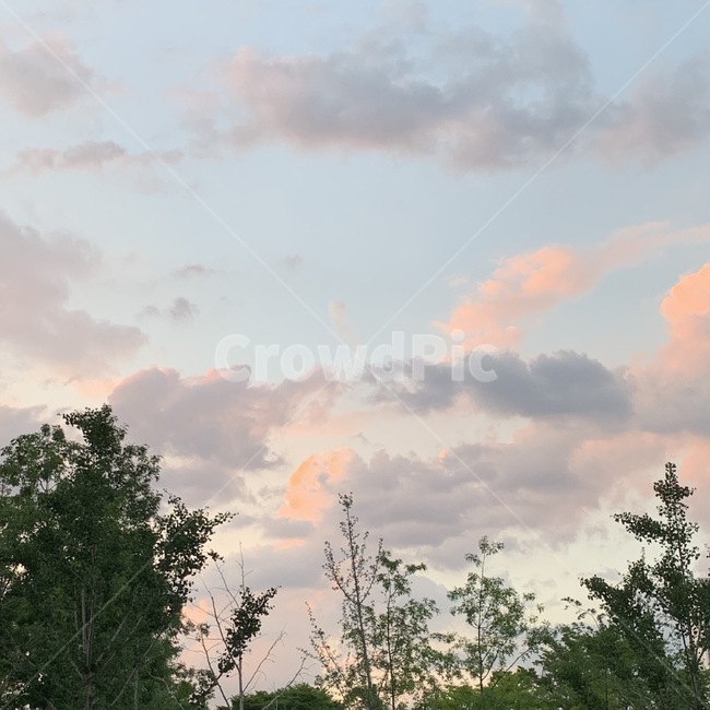 자연,outdoors,전경,하늘,tree,나무,식물,nature,노을,구름