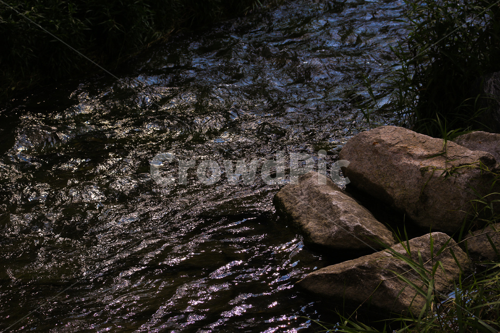 돌,강,강물,흐르는물,햇빛,따뜻함,감성,여름,자연,풍경,자연,풍경,nature,landscape
