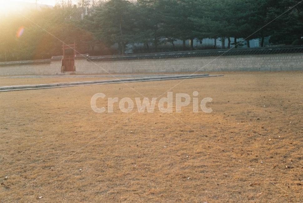 햇빛,겨울,사직단,종로,서울,한국전통,한국문화,korean traditional,korean culture,감성,sensible,feeling