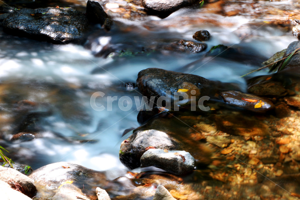 물,시냇물,조약돌,물안개,흐르는물,nature,stream