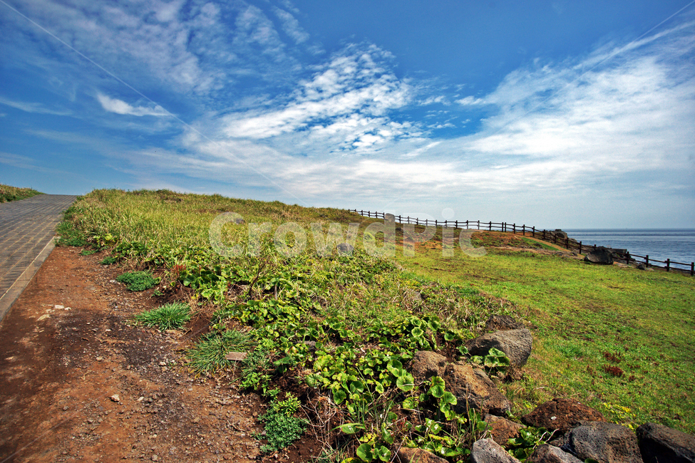 마라도,제주도,대정읍,섬,탐방로,목책,자연,목초지,자연,풍경,nature,landscape