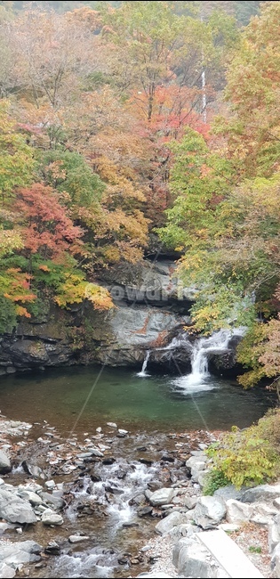 가을,단풍,계곡,폭포,트래킹,가을,계절,fall,autumn,season,자연,풍경,nature,landscape,water,물,outdoors,옥외,river,강