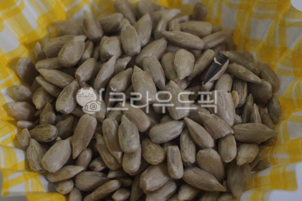 해바라기씨,해바라기씨앗,씨,씨앗,food