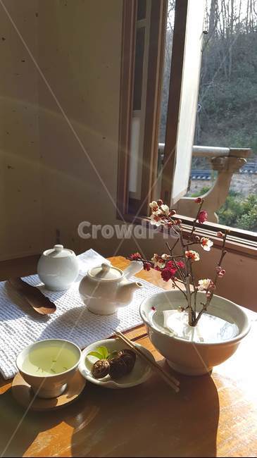 다기,봄,꽃,차,햇살,매화,생명력,pottery,도기류,saucer,받침접시