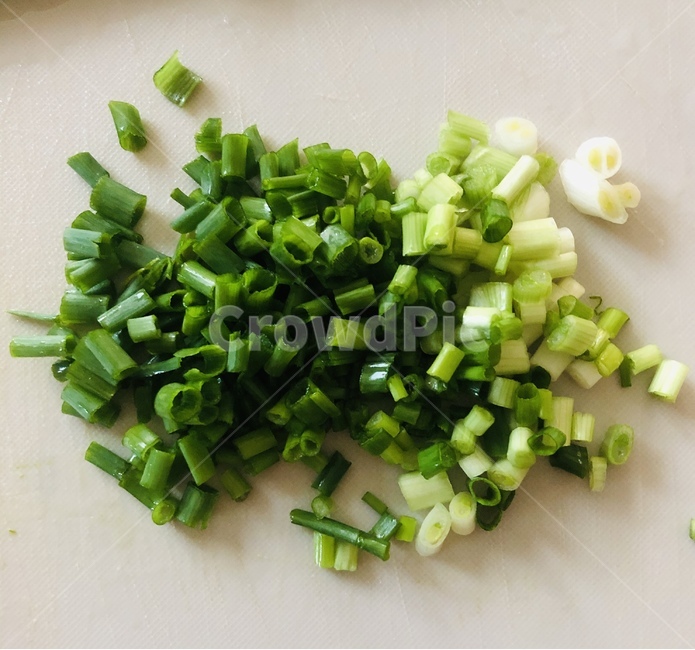 쪽파,파,초록,초록생,야채,green,야채썰기,음식,식재료,요리,food,cook,meal,dishes,food reserves