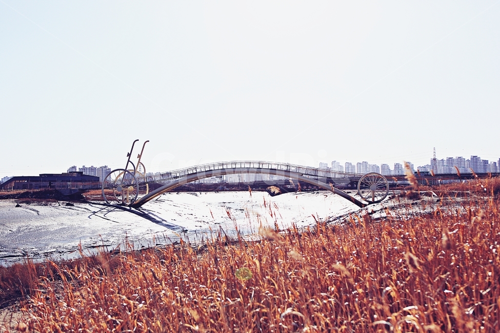 미생의다리,다리,갯벌,생태공원,풍경,배경,자연,자연,풍경,nature,landscape,한국자연풍경,한국자연경관,korea nature landscape,amusement park,놀이 공원,roller coaster,롤러 코스터,coaster,활주 궤도