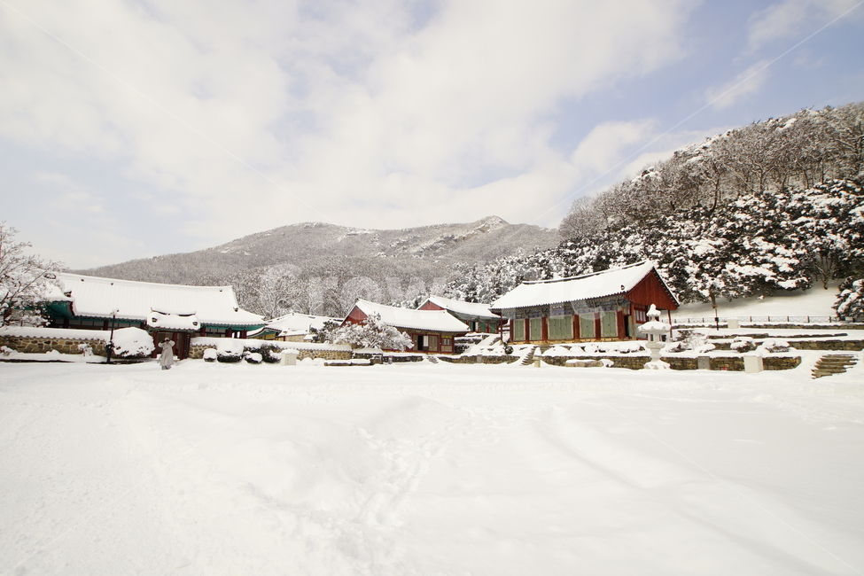 선운사,고창,설경,사찰,풍경,겨울,계절,winter,season,자연,풍경,nature,landscape,한국자연풍경,한국자연경관,korea nature landscape,outdoors,옥외