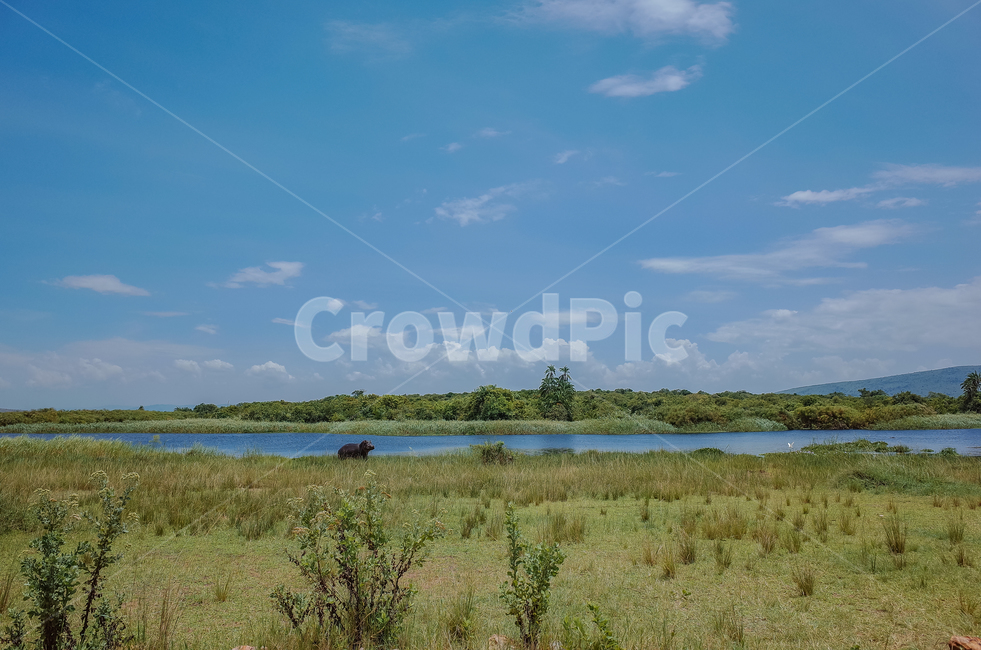 아프리카,르완다,사파리,아카제라국립공원,akageranationalpark,rwanda,africa,야생동물,자연,풍경,nature,landscape,해외,외국,세계,foreign,oversea,world,세계자연풍경,해외자연풍경,외국자연풍경,world nature landscape,outdoors,옥외,land,땅,weather,날씨,cloud,구름,sky,하늘,cumulus,적운