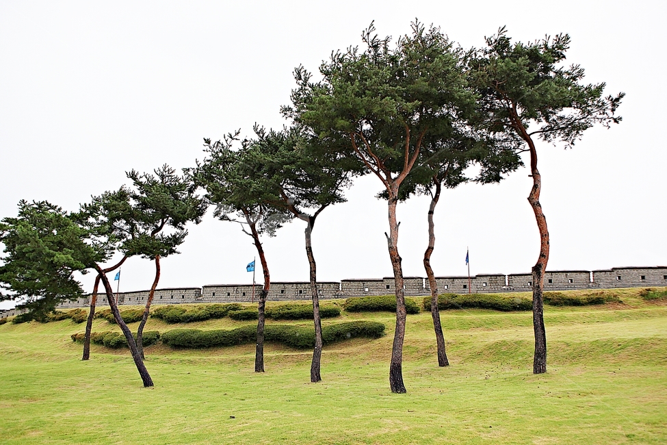 수원화성,성,성곽,길,둘레길,돌담,담,가을,자연,풍경,벽,방어벽,전통,식물,한국전통,한국문화,korean traditional,korean culture