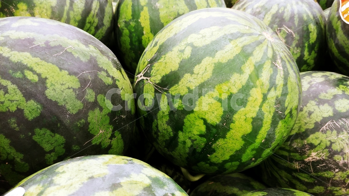 수박,여름,과일,대형마트,마트장보기,여름,계절,summer,season,음식,식재료,요리,food,cook,meal,dishes,food reserves,과일,열매,fruit,채소,야채,vegetables,plant,식물