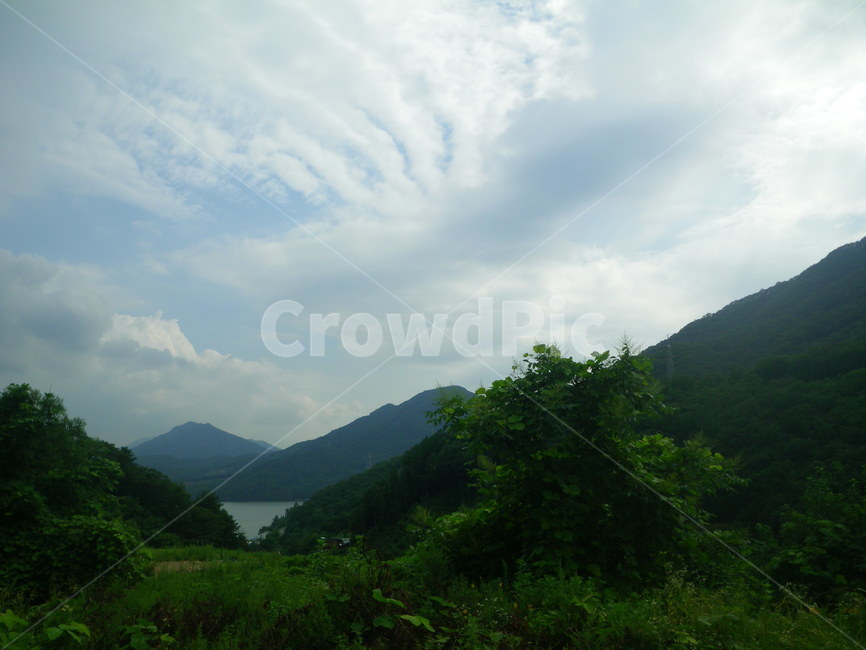 비늘구름,새털구름,clouds,구름,하늘,산,강,나무,여름,풍경