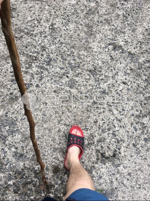 쓰레빠,나무지팡이,시멘트,바닥,거리
