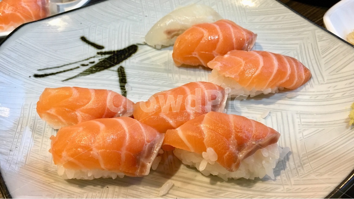 초밥,연어,연어초밥,일식,음식,요리,음식,식재료,요리,food,cook,meal,dishes,food reserves,일식,일본음식,일본요리,Japanese food,Japanese dishes,Japanese meal,Japanese cook