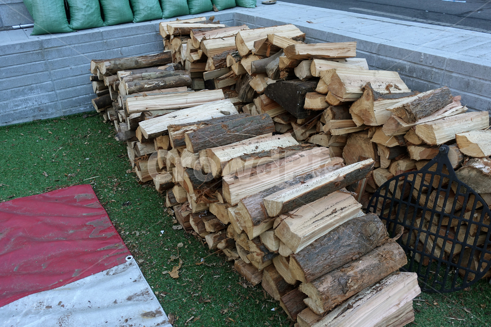 장작,나무,나뭇가지,나무토막,캠핑,나무,trees,wood
