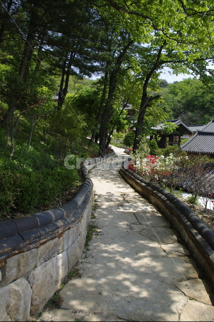 부석사,사찰,건축,전통건축,담장,traditional,길,전통,기와지붕,풍경,초록,나무,잎,식물,plant,자연,풍경,nature,landscape,flagstone,판석,arbour,정자,garden,정원,outdoors,옥외