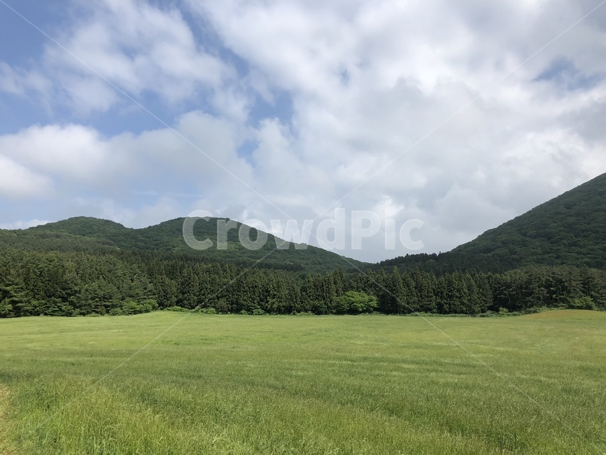 궷물오름,제주오름,grassland,countryside,field,목초지,한지방,자연,nature,outdoors,옥외,자연,풍경,nature,landscape,들