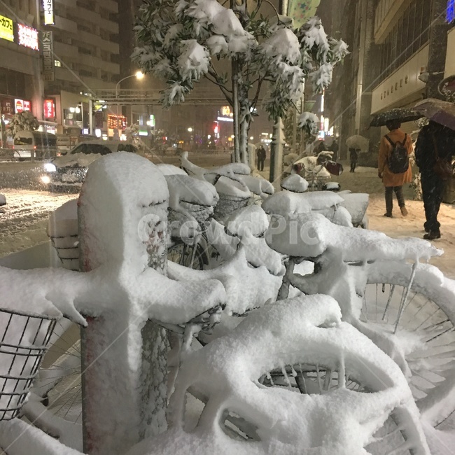 겨울,한겨울,눈,자연,자전거,outdoors,winter,snow,nature,겨울,계절,winter,season