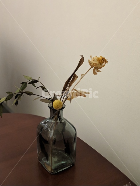화병,꽃,드라이플라워,카페,유리병