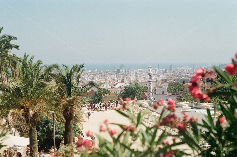 유럽,스페인,구엘,공원,야자수,꽃,도시풍경,공원풍경,europe,spain,바르셀로나,도시,풍경,city,landscape,해외,외국,세계,foreign,oversea,world,세계도시풍경,해외도시풍경,외국도시풍경,world cityscape,plant,식물