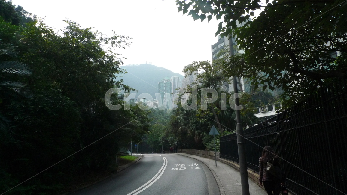 road,도로,아스팔트,person,차도,보도