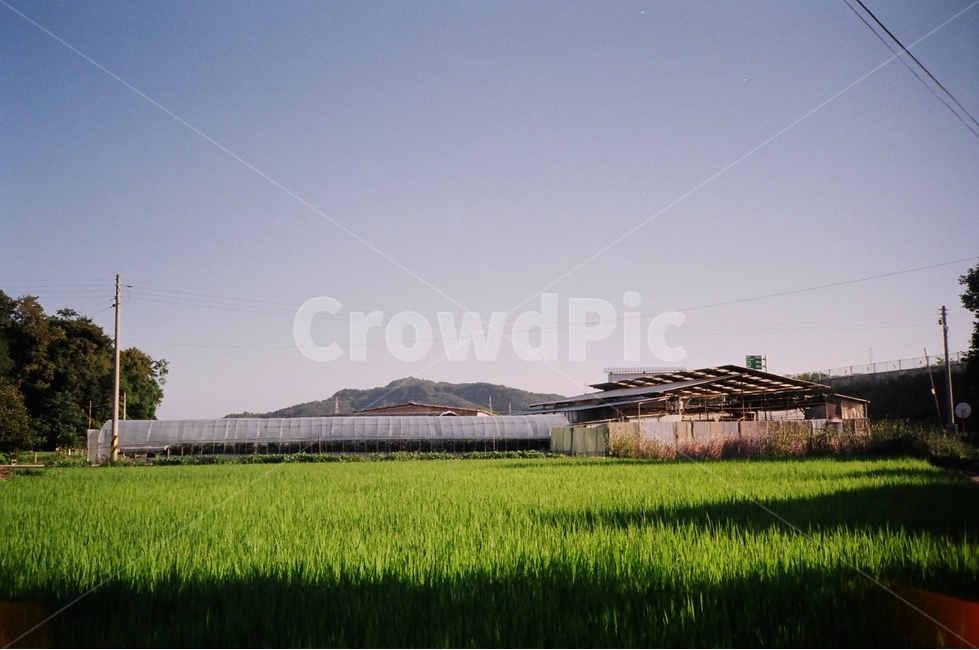 문경,시골,논,country,munkyung,시골,마을,풍경,landscape,country,rural,town