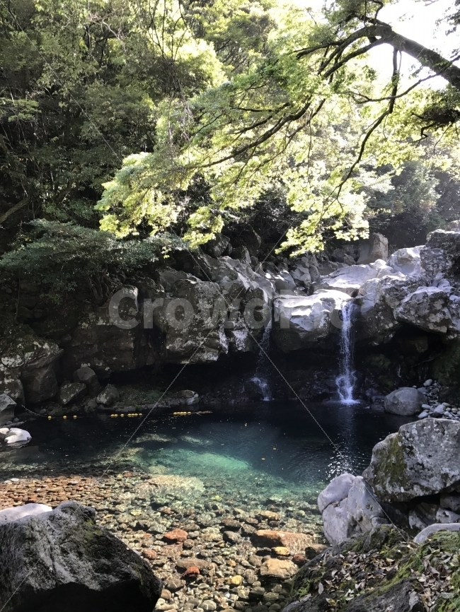 무보정,제주도,돈내코,계곡,자연,자연,풍경,nature,landscape,제주도,jeju,jeju island,water,물,outdoors,옥외,river,강
