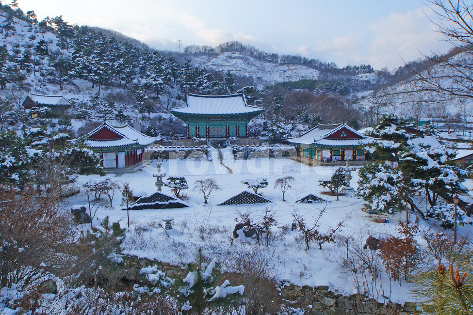 겨울,사찰,영평사,세종시,설경