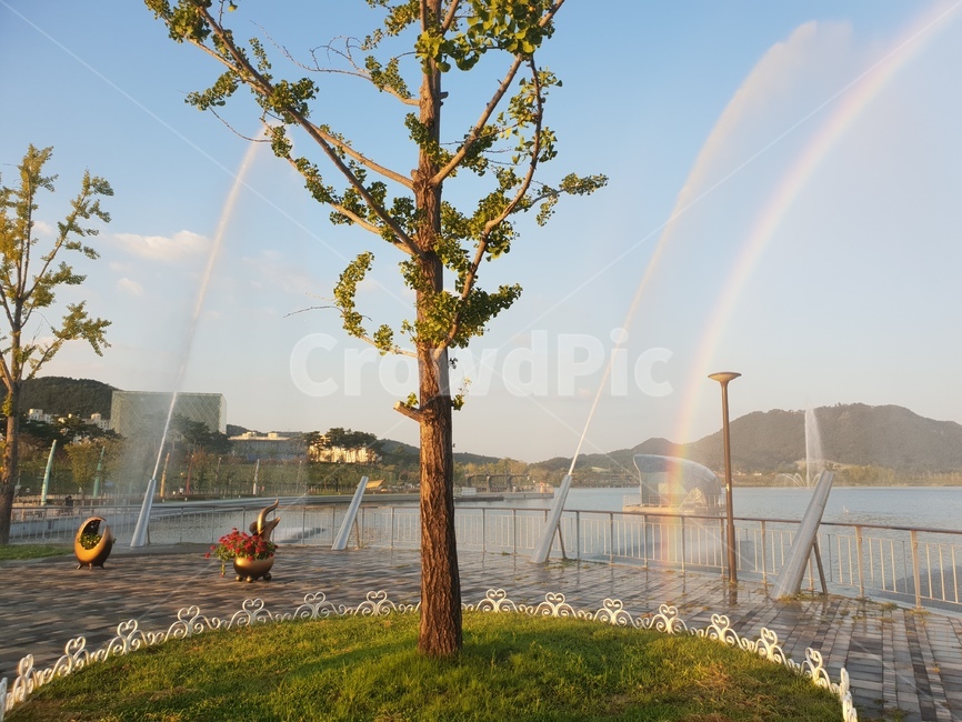 물,무지개,나무,호수,호수공원,공원,분수,fountain,water,rainbow