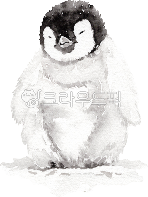 펭귄,수채화동물,동물,수채화펭귄,겨울동물