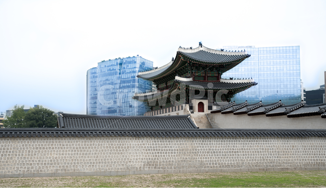 서울,한국,광화문,여름,고궁,세종로,전통,담장,담,풍경,도시,풍경,city,landscape,한국도시풍경,한국도시경관,korea cityscape,한국전통,한국문화,korean traditional,korean culture,랜드마크,landmark,tourist attraction,한국랜드마크,한국관광지,한국명소,korea landmark,korea tourist attraction,건축물,건물외관,exterior,building,structure,architecture,construction,건물,temple,신전,worship,예배,pagoda,탑,shrine,신사