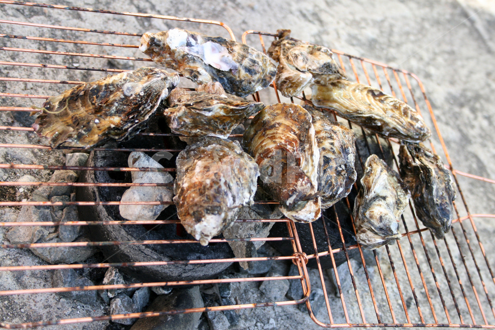 음식,food,구이,석화,석화구이,굴,음식,식재료,요리,food,cook,meal,dishes,food reserves,수산물,해산물,fishery products,seafood