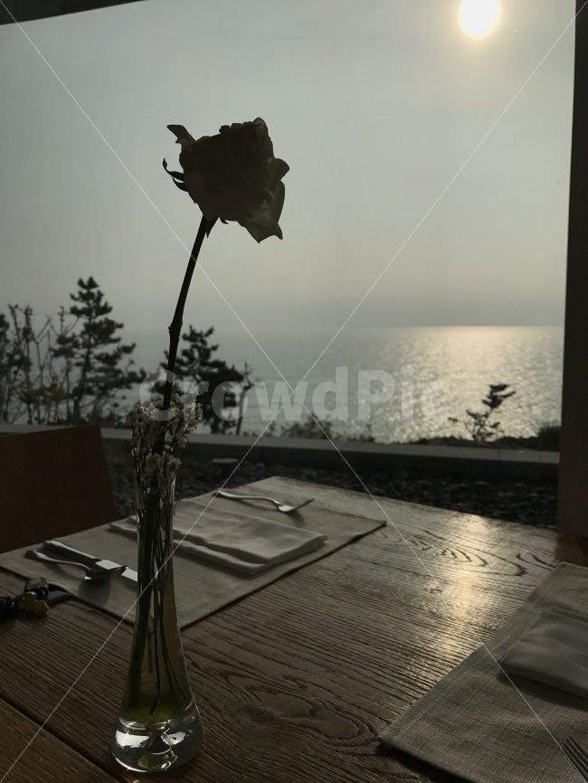 힐링,휴식,바다,카페,여행,휴식,힐링,rest,relaxation,healing,식물,자연,plants,nature,꽃,flower