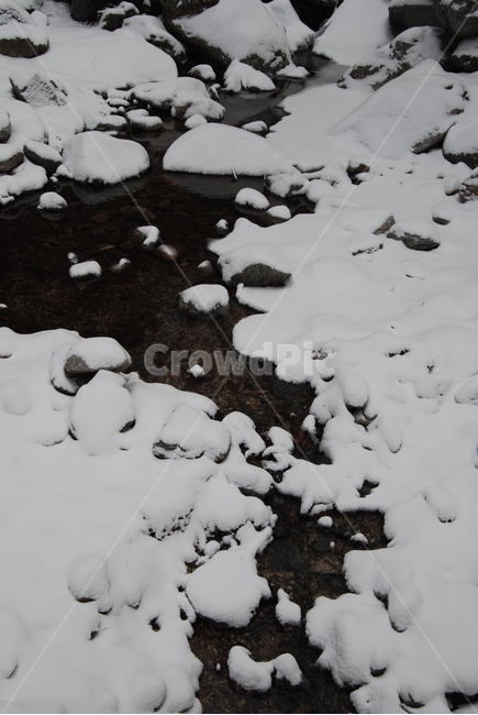 축령산,겨울,자연휴양림,눈,탐방로,겨울,계절,winter,season,자연,풍경,nature,landscape,outdoors,옥외