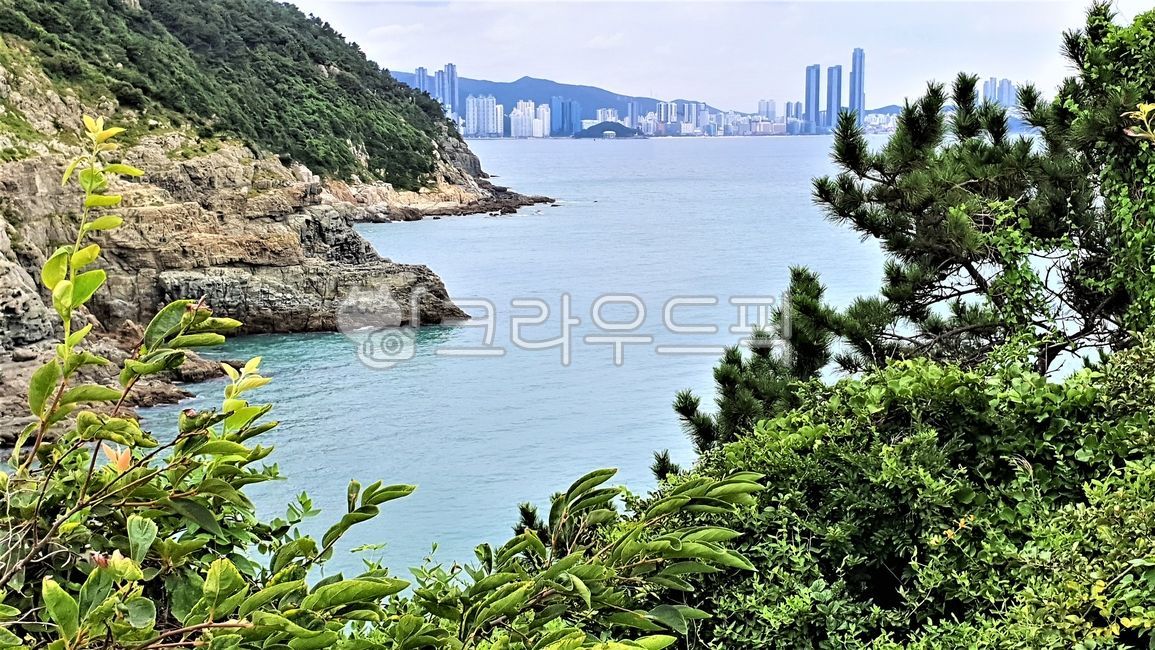 coastline,Cliff,headland,nature,rock wall,rock,Oryukdo Sea,Beach,promontory,Igidae,ocean,busan,sight
