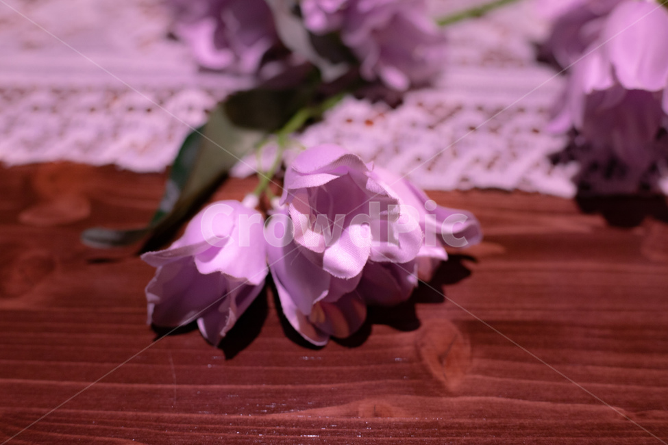 꽃,조화,테이블,보라색,테이블보,꽃,flower