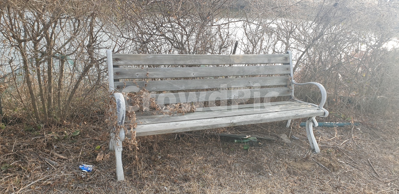벤치,가구,황량한,감성,자연,furniture,bench,parkbench,풍경,쓸쓸한