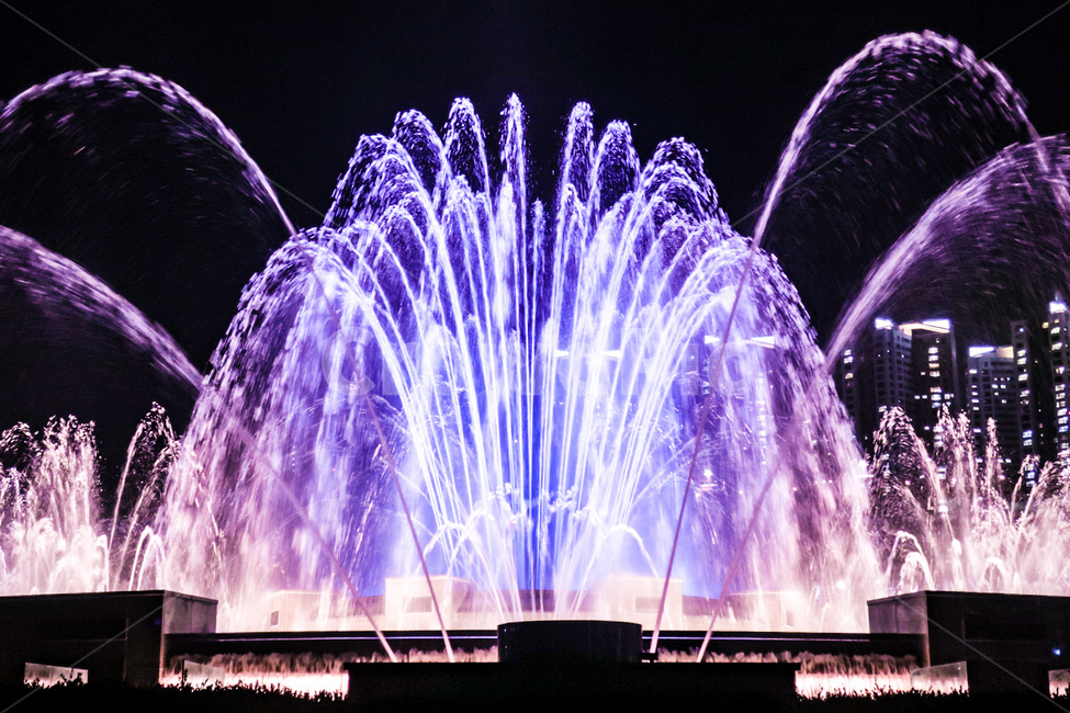분수,분수대,야간분수,분수쇼,레이저,야경,밤,풍경,nightscape,night,landscape,축제,행사,festival,carnival,event,water,물,fountain