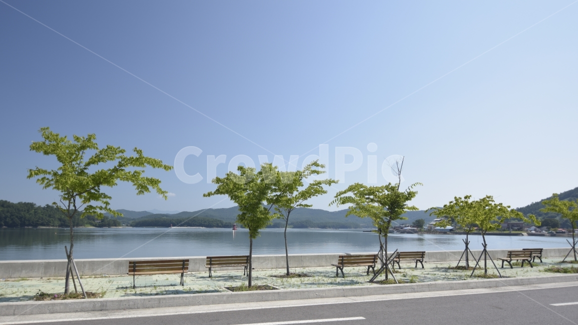 가로수,도로,해안,벤치,바다,여름,푸른하늘,휴가,반영,무더위,여행,roadsidetrees,Road,theshoreofthesea,Bench,sea,Bluesky,summer,travel,vacation,Heatwave,Reflection,자연,풍경,nature,landscape,road,tree,나무,plant,식물