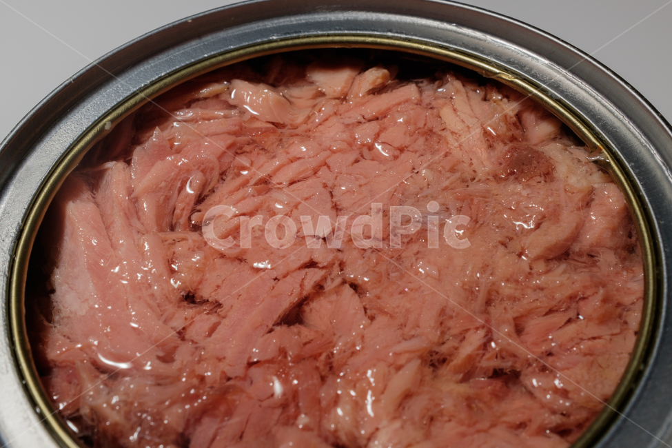 참치,해산물,통조림,캔,물고기,생선,통조림식품,금속,용기,식품,식재료,음식,식재료,요리,food,cook,meal,dishes,food reserves