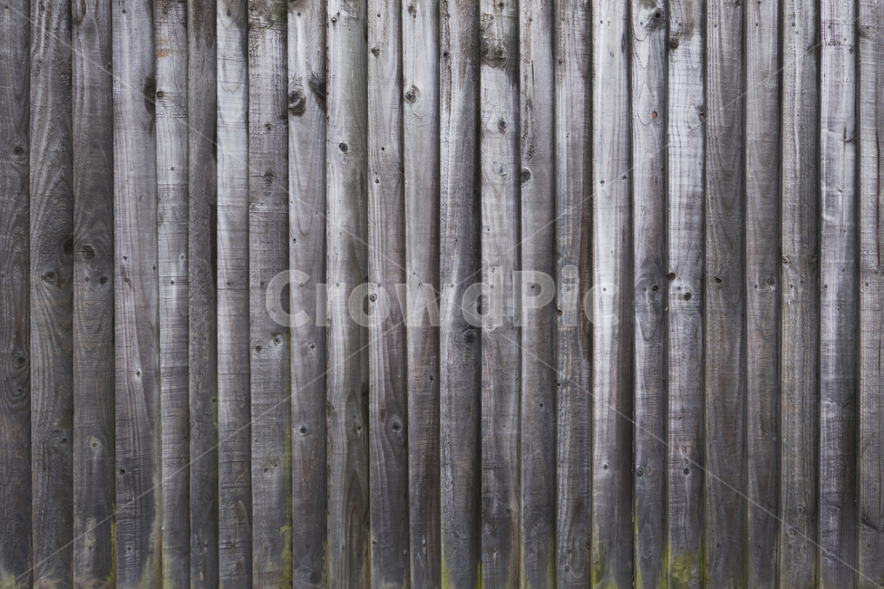 wooden floor,texture,tree,pattern,background image,wood pattern,tree background,background,wooden wall,wall,design source
