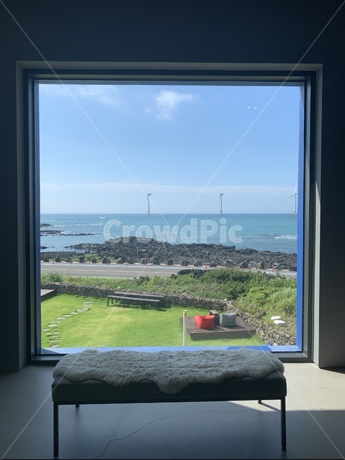 제주도,바다,힐링,자연,한국