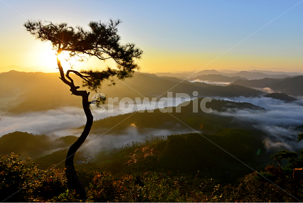 nature,자연,outdoors,임실,국사봉,운해,국사봉일출,아침,여명,해돋이,경치,경관,풍경,옥외,mountain,산,mountainrange,산맥,dawn,새벽,sky,하늘,redsky,붉은하늘,light,빛,flare,플레어,소나무,자연,풍경,nature,landscape,한국자연풍경,한국자연경관,korea nature landscape