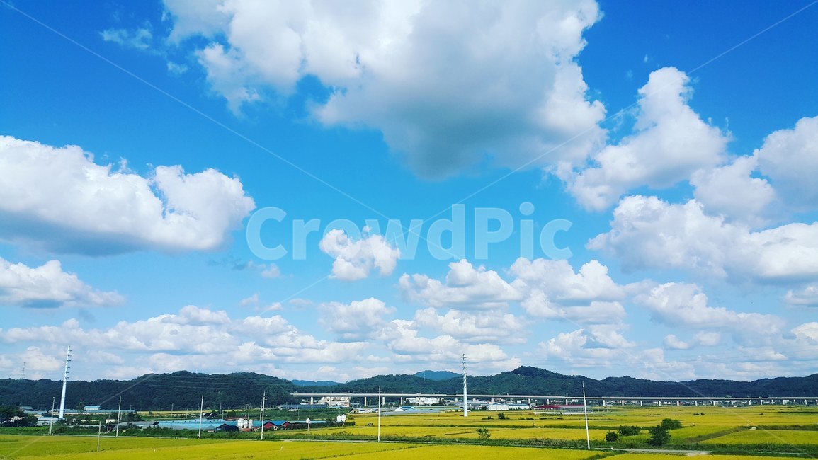 풍경,구름,자연,하늘,논,날씨,아산,드라이브,한적한시골