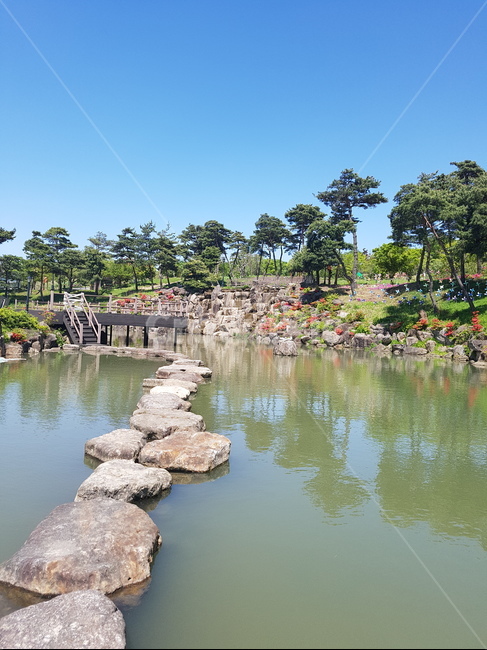 연못,징검다리,물,자연,봄