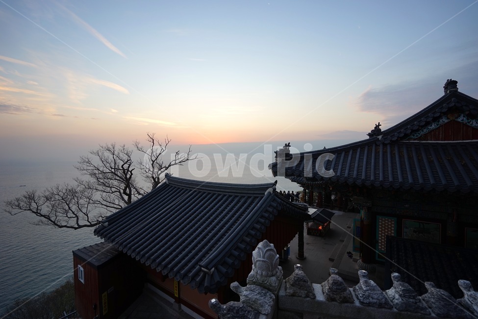 암자,향일암,겨울,기와,나무,바다,사찰,일출,하늘,roof,지붕