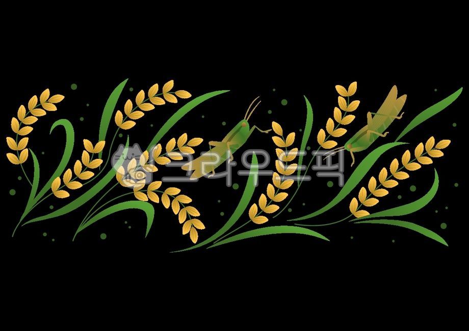 branch,Maple leaf,beautiful,drawing,insect,season,farm,grain,decoration,element,floral,natural,Grasshopper,decorative,cereal,vintage,background,plant,animal,october,autumn,crop,colorful,locust,seed,yellow,isolated,pattern,agriculture,september,ornament,fa